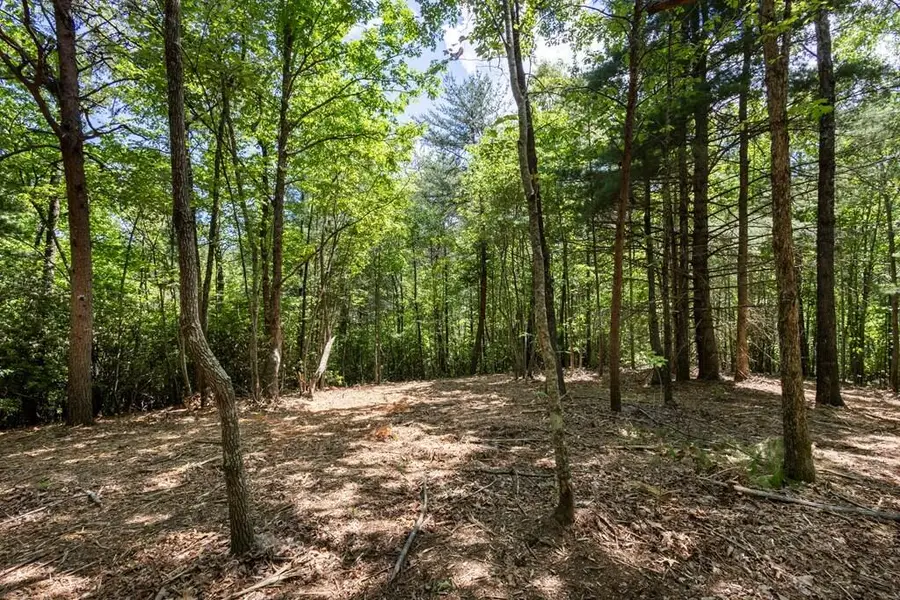 4.0 Acre Donley Road, Murphy, NC 28906 - #2