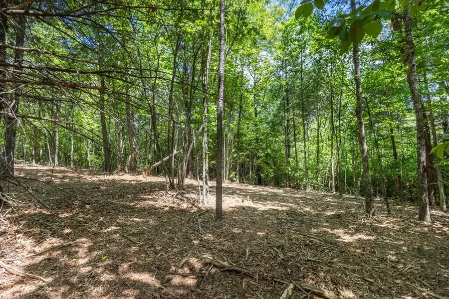 4.0 Acre Donley Road, Murphy, NC 28906 - #3