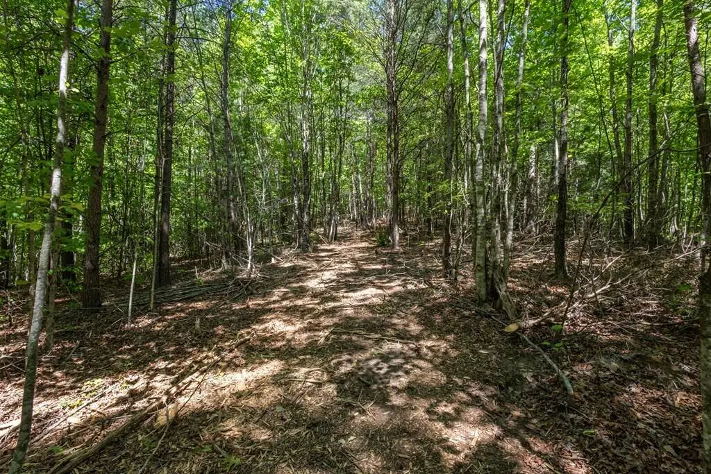 20 Acre Pack Mountain Road, Murphy, NC 28906 - #1