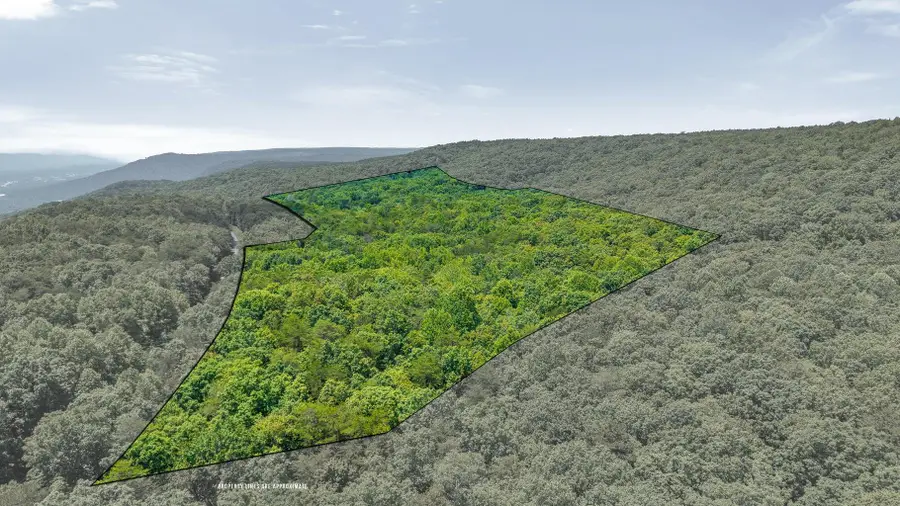 41.04 Ac Windridge Drive, Dunlap, TN 37327 - #2