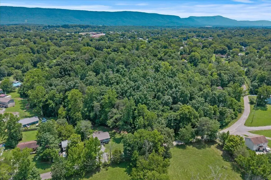 000 Thacker Lane, Etowah, TN 37331 - #3