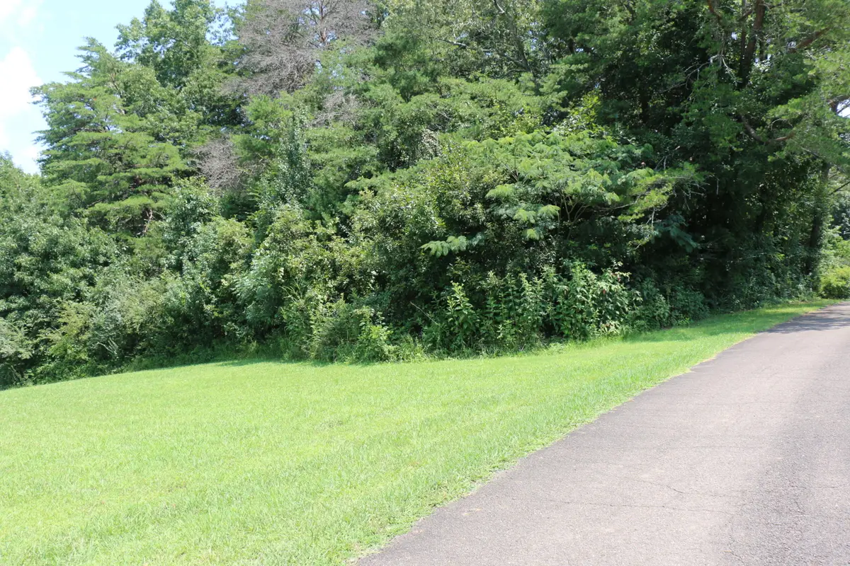 Lot 1 County Road 892, Etowah, TN 37331 - #1