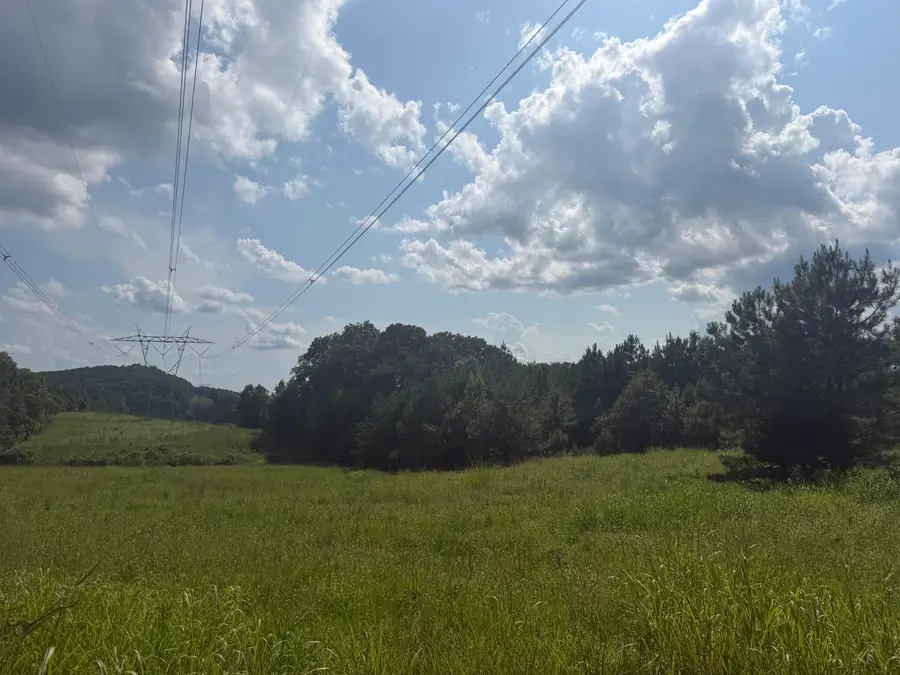 9.58 Acres County Road 4, Calhoun, TN 37309 - #2