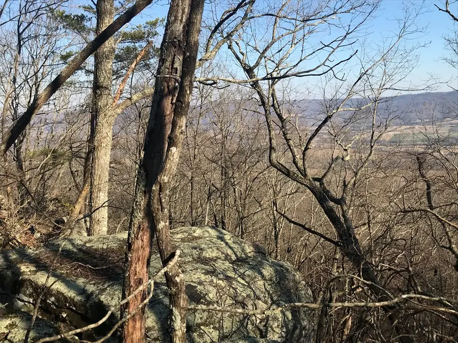 1.15 Gray Rock View, Pikeville, TN 37367 - #3