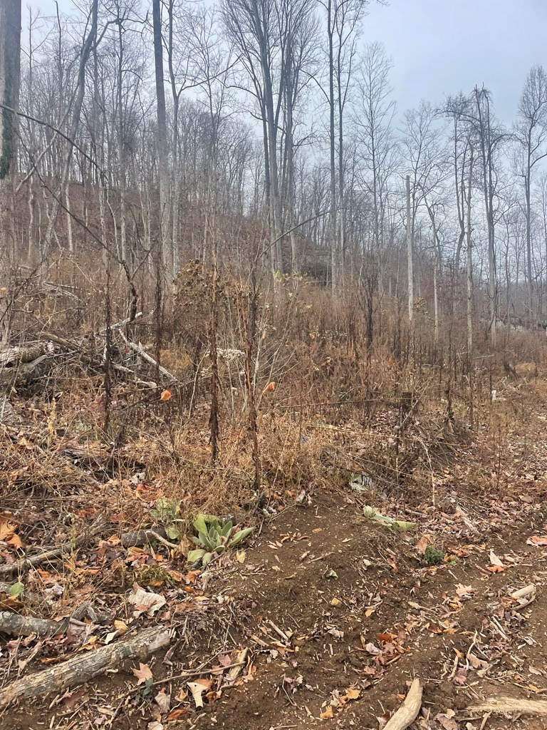 #3