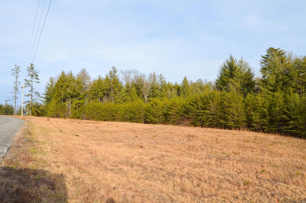 Lot 29 White Creek Dr, Deer Lodge, TN 37726 - BHGRE