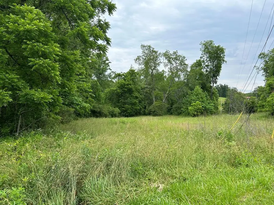 n/a Chapman St, Jamestown, TN 38556 - #2