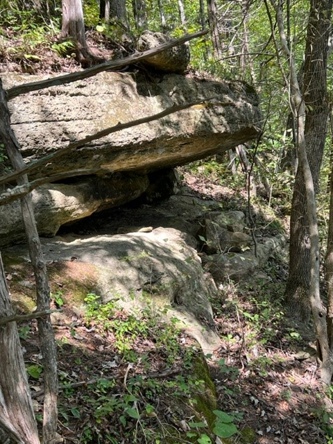 0 Wet Mill Creek Rd, Celina, TN 38551 - #3