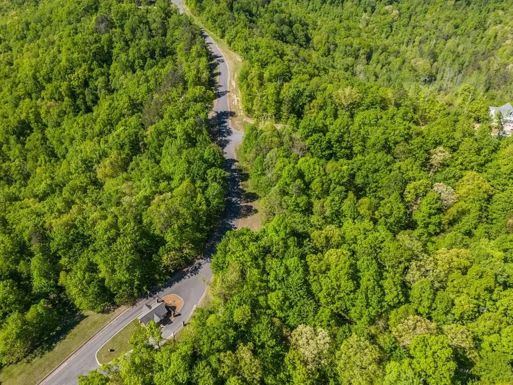 Lot 59 Moss Bend Trail, Monterey, TN 38574 - #1