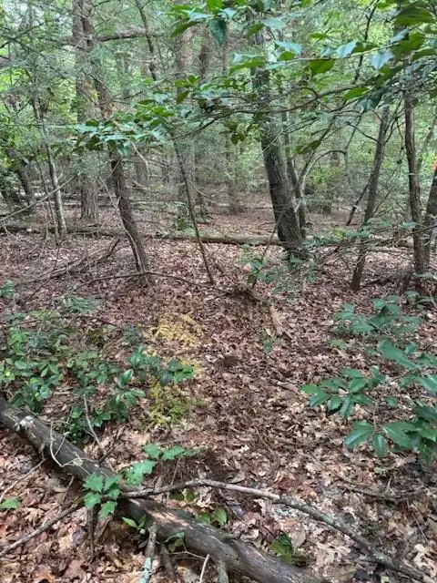 #3