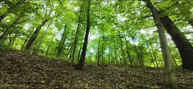 #2
