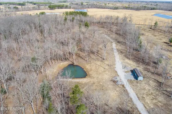 372 Perkins Trail, Deer Lodge, TN 37726