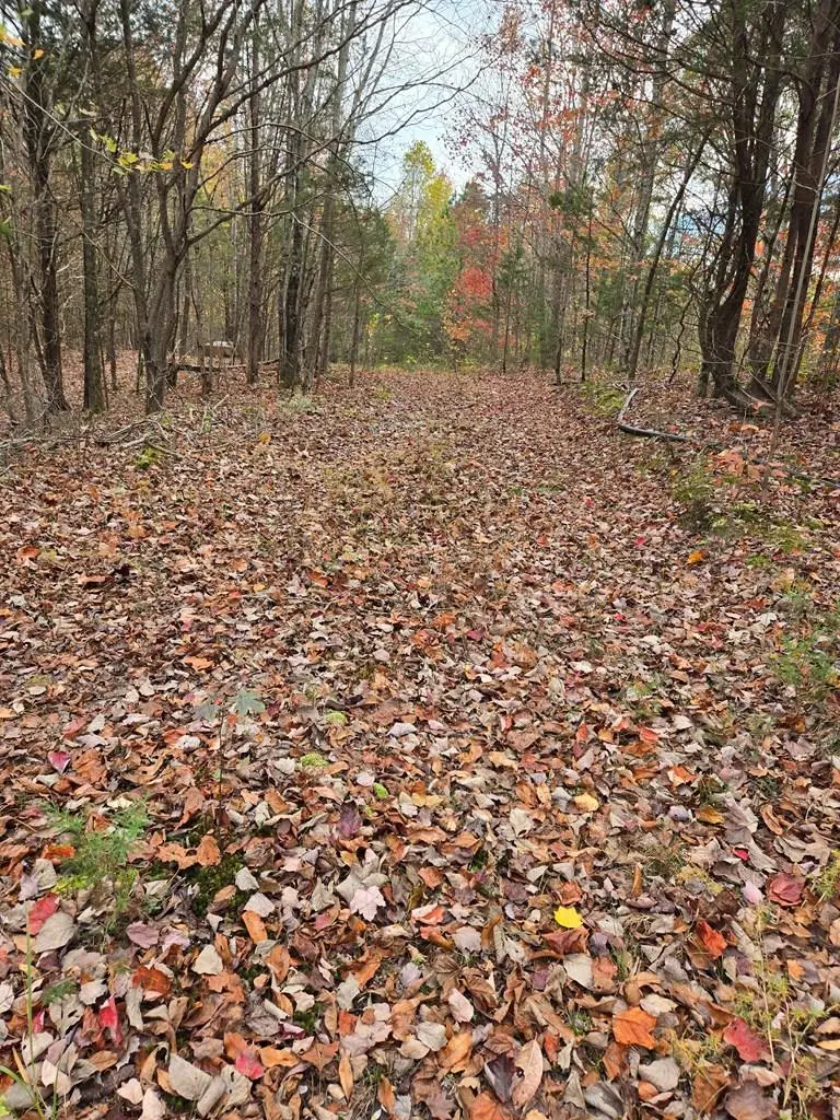 #1