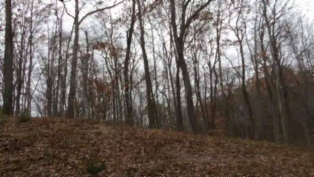 #2