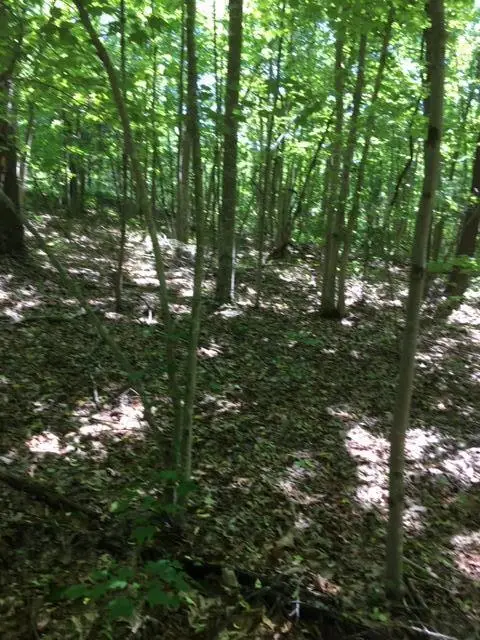 #3