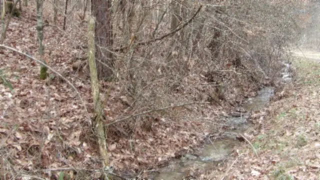 #3