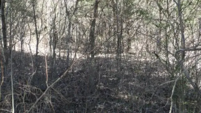 #1