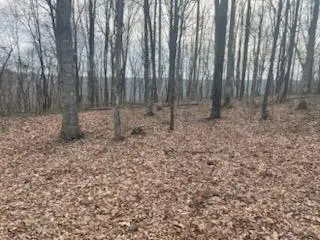 #3