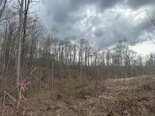 #3