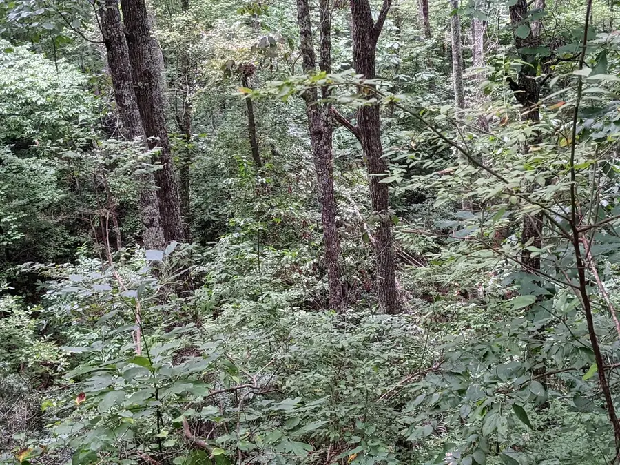 #3