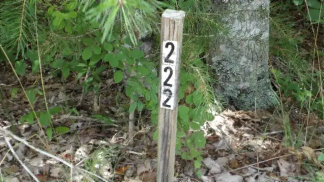 #2