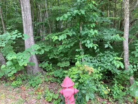 #3
