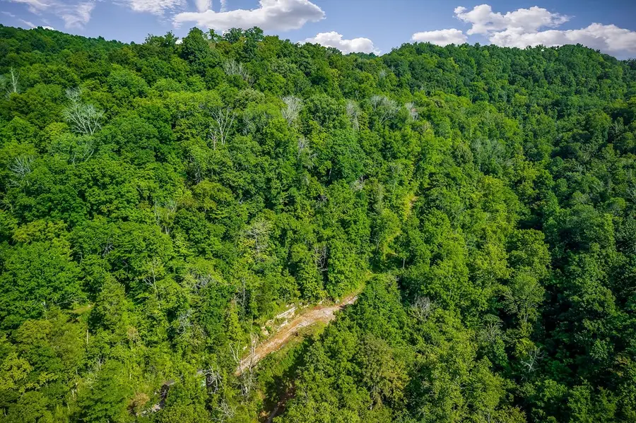 392 Possum Hollow Rd, Dowelltown, TN 37059 - Image #3