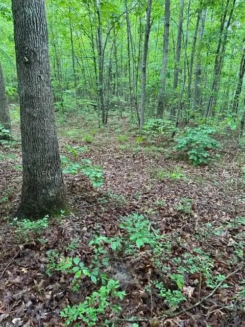 #2
