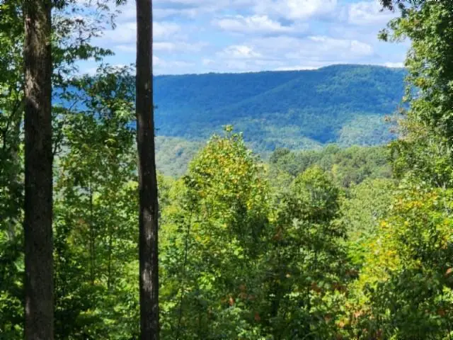 Lot 73 Tomahawk Rd, Jamestown, TN 38556 - #1