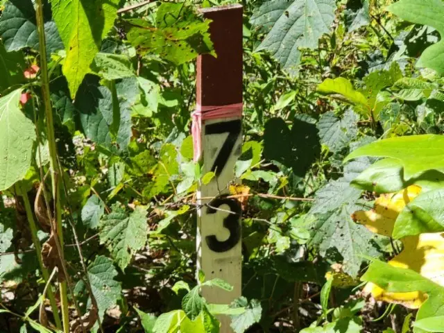 Lot 73 Tomahawk Rd, Jamestown, TN 38556 - #2