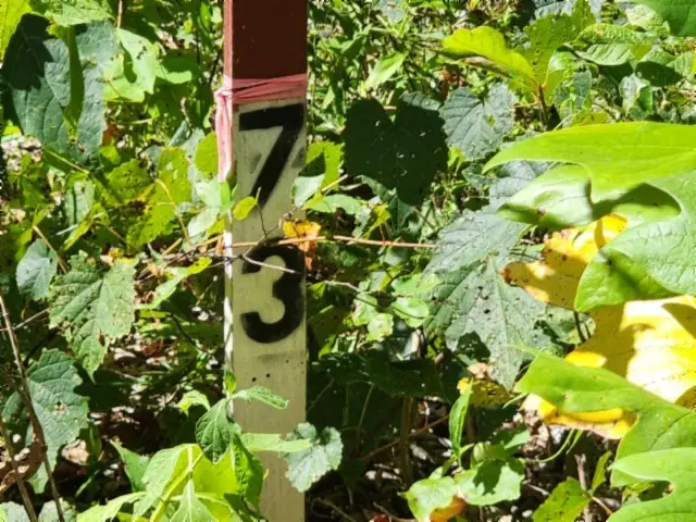 Lot 73 Tomahawk Rd, Jamestown, TN 38556 - #3