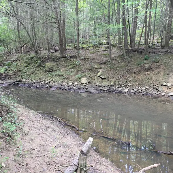 523 Boone Lane, Sunbright, TN 37872