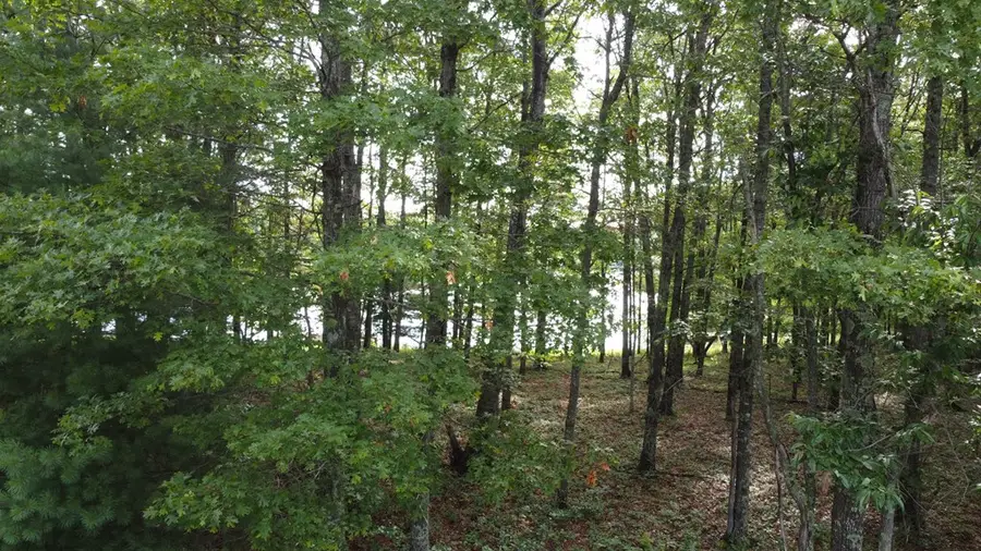 122 Camp Creek Dr, Spencer, TN 38585 - Image #2