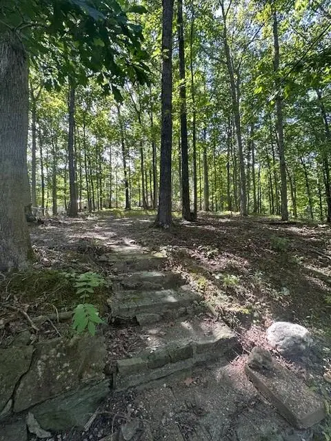 54 Buzzard Ln, Hilham, TN 38568 - Image #2