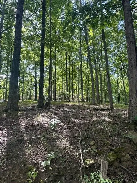 54 Buzzard Ln, Hilham, TN 38568 - Image #3