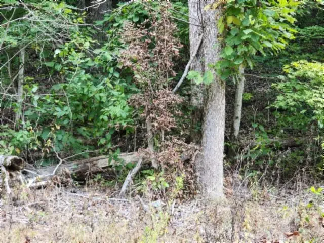 Lot 20 Apache Rd, Jamestown, TN 38556 - #2