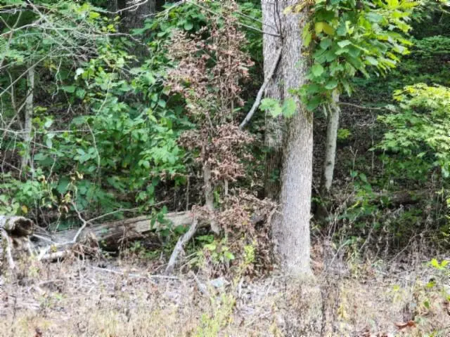 Lot 20 Apache Rd, Jamestown, TN 38556 - #3