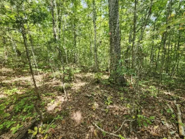 16.22ac Glenobey Rd, Jamestown, TN 38556 - #1