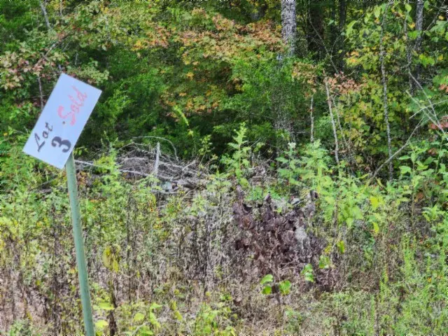 16.22ac Glenobey Rd, Jamestown, TN 38556 - #3