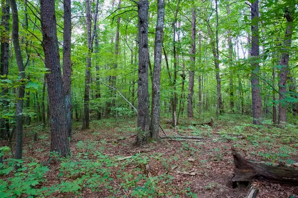 0 Fikes Field Rd & Greenfield Rd, Spencer, TN 38585