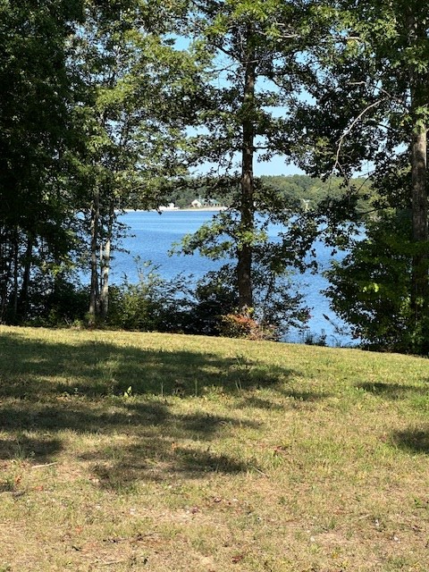 Lot 72 Crossville Hwy, Sparta, TN 38583 - Image #2