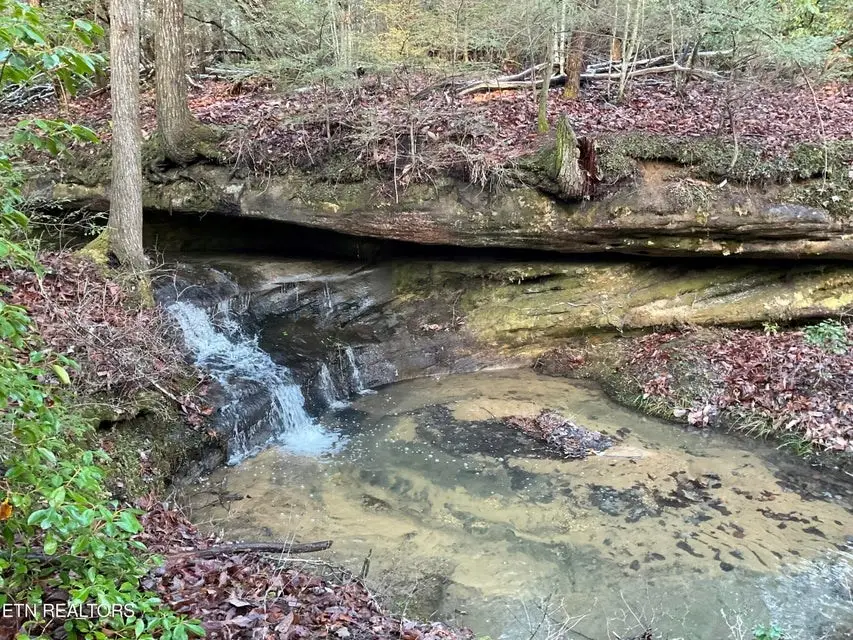 435 Cumberland Cove Road, Monterey, TN 38574 - Image #2