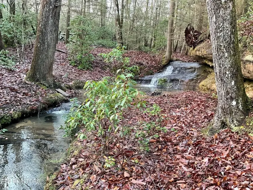 435 Cumberland Cove Road, Monterey, TN 38574 - Image #3