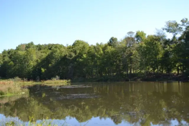 17.13ac Taylor Place Rd, Jamestown, TN 38504 - Image #2