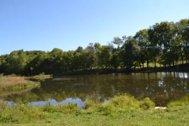 17.13ac Taylor Place Rd, Jamestown, TN 38504 - Image #3