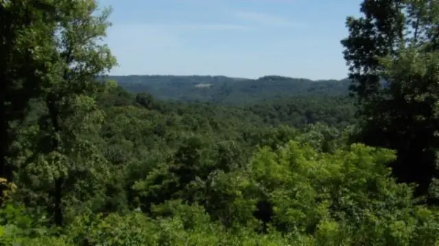 Lot 7E Rock Fish Lane, Hilham, TN 38568 - Image #1