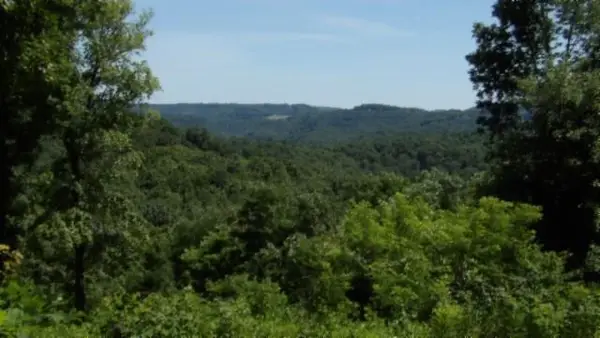 Lot 7E Rock Fish Lane, Hilham, TN 38568