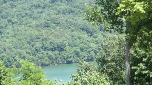 Lot 7E Rock Fish Lane, Hilham, TN 38568 - Image #2