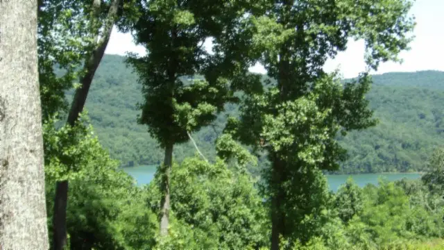 Lot 7E Rock Fish Lane, Hilham, TN 38568 - Image #3