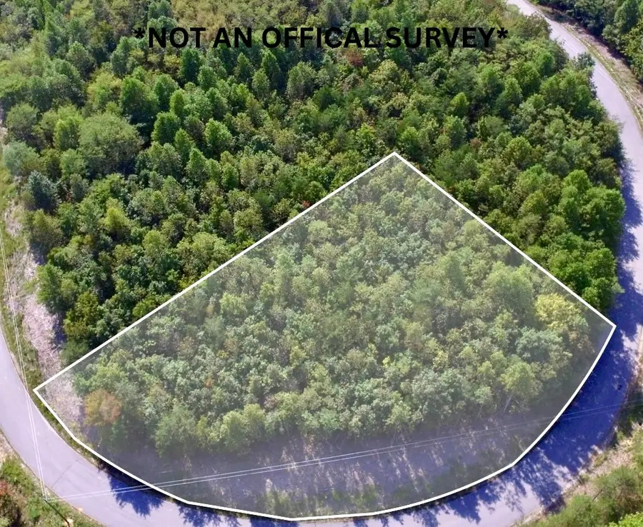 Lot 31 Overlook Dr, Spencer, TN 38585 - Image #2